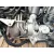Motor Completo para Seat Ibiza Iv St (6J8, 6P8)