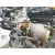 Motor Completo para Renault Captur Ii (Hf_)