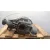 Diferencial Trasero para Volkswagen Touareg (7La, 7L6, 7L7)