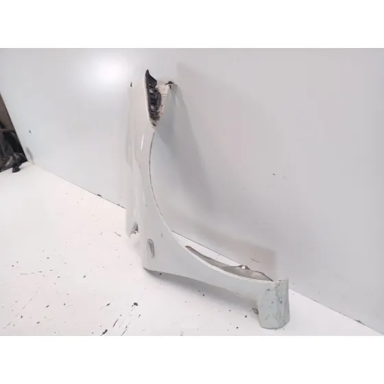 Aleta Delantera Derecha para Fiat Punto (199_)
