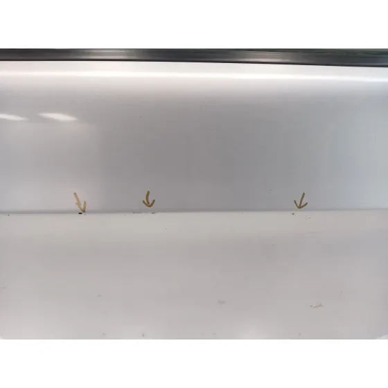 Puerta Trasera Izquierda para Bmw 3 (E90)