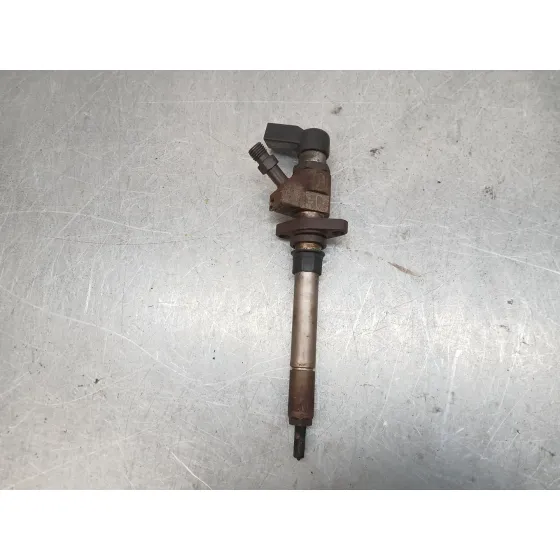 Inyector para Ford Focus C-Max (Dm2)