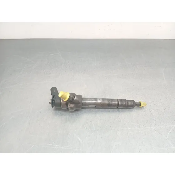 Inyector para Bmw X1 (E84)