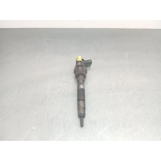 Inyector para Bmw X1 (E84)