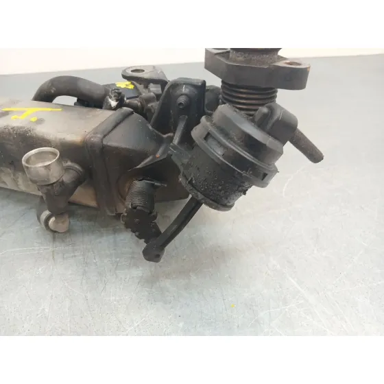 Enfriador Egr para Bmw X1 (E84)