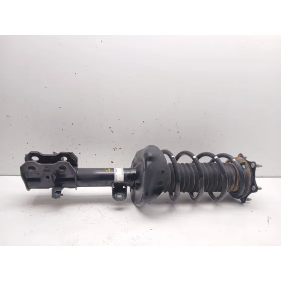 Amortiguador Delantero Izquierdo para Honda Cr-V Iii (Re_)