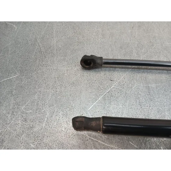 Amortiguadores Maletero / Porton para Renault Captur Ii (Hf_)