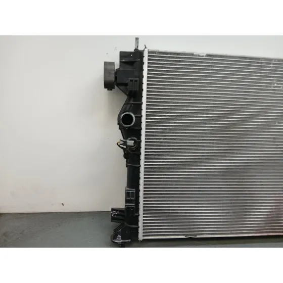 Radiador Agua para Mg Mg Hs (As23)