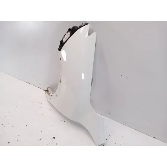 Aleta Delantera Izquierda para Nissan Juke (F15)