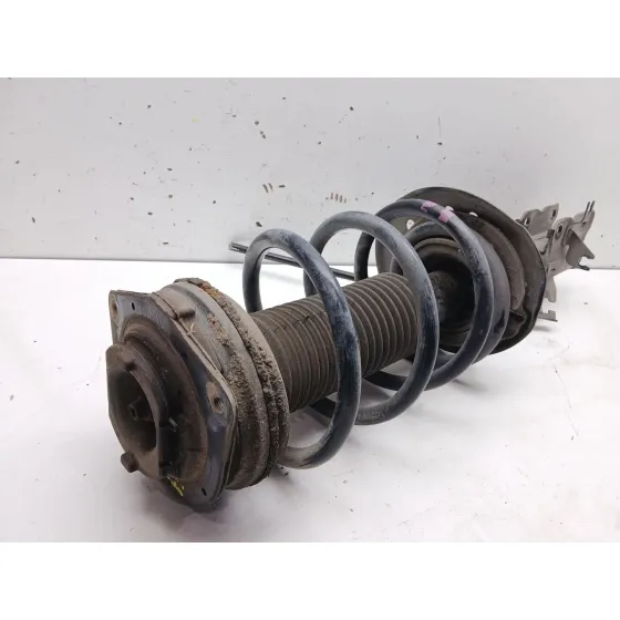 Amortiguador Delantero Izquierdo para Nissan Qashqai I (J10, Nj10)