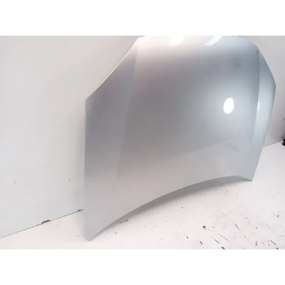 Capot para Volkswagen Golf V Variant (1K5)