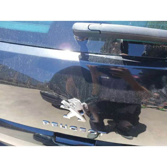 Porton Trasero para Peugeot 3008 I Monospace (0U_)