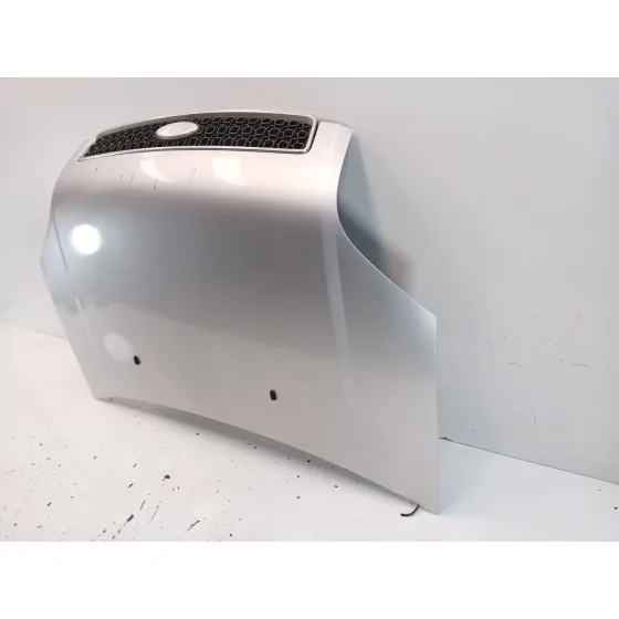 Capot para Ford Fusion (Ju_)