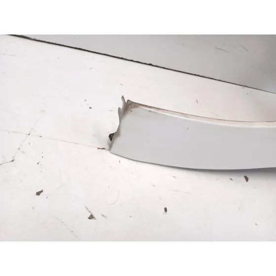 Aleta Delantera Izquierda para Citroën C4 Ii (Nc_)