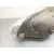 Faro Derecho para Jaguar Xf I (X250)