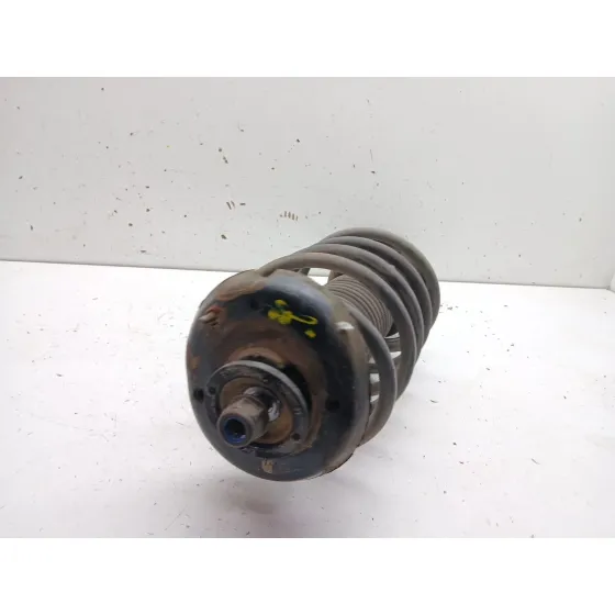 Amortiguador Delantero Izquierdo para Citroën C3 I (Fc_, Fn_)