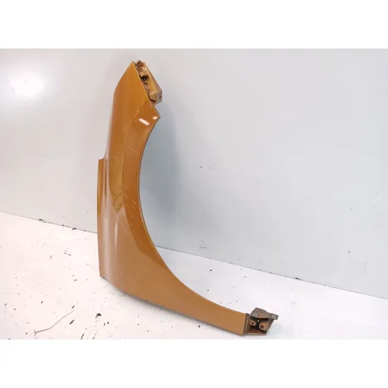 Aleta Delantera Derecha para Renault Scenic Iv (J9_)