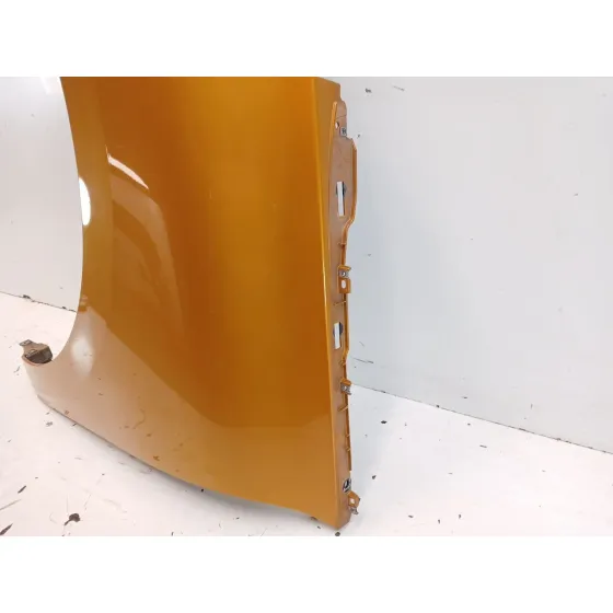 Aleta Delantera Izquierda para Renault Scenic Iv (J9_)