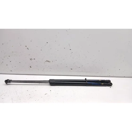 Amortiguadores Maletero / Porton para Nissan Juke (F16_)