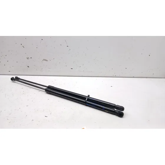 Amortiguadores Maletero / Porton para Nissan Juke (F16_)