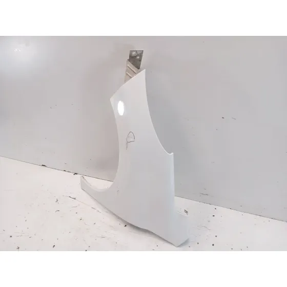 Aleta Delantera Izquierda para Peugeot 207/207+ (Wa_, Wc_)
