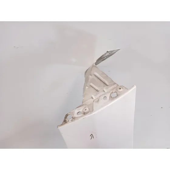 Aleta Delantera Izquierda para Peugeot 207/207+ (Wa_, Wc_)