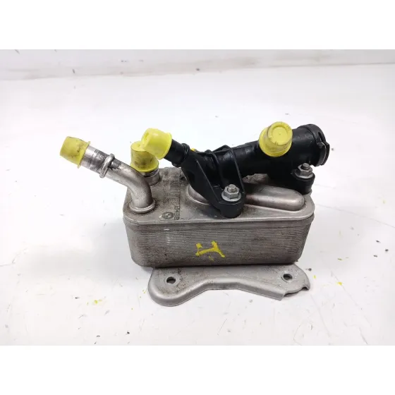 Enfriador Aceite Motor para Bmw X5 (E70)