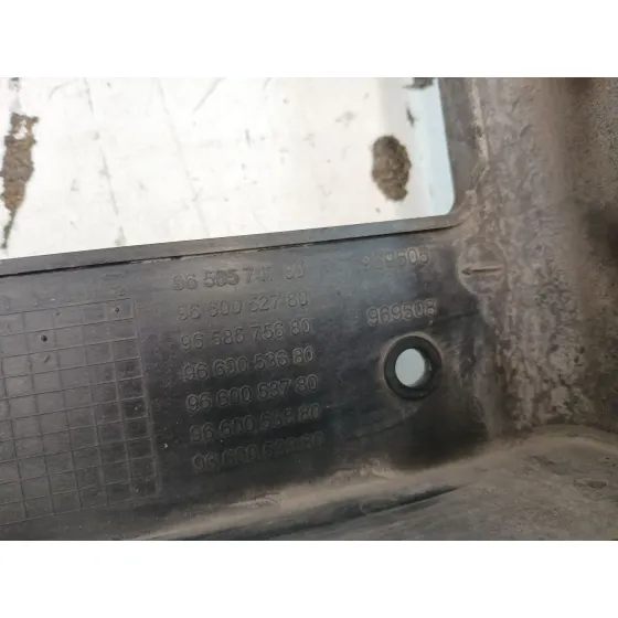 Panel Frontal para Citroën C4 Picasso I Monospace (Ud_)
