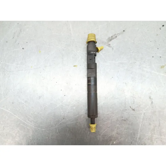 Inyector para Renault Clio Iii (Br0/1, Cr0/1)