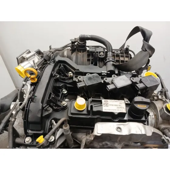 Despiece Motor para Ford Focus Lim.