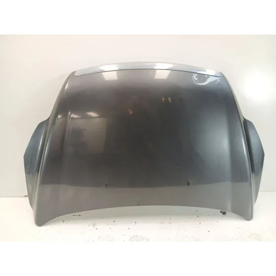 Capot para Ford Focus Ii (Da_, Hcp, Dp)