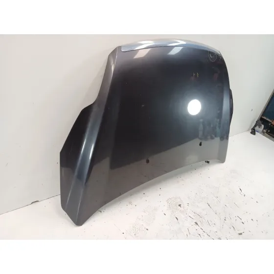 Capot para Ford Focus Ii (Da_, Hcp, Dp)