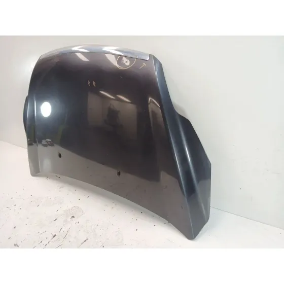 Capot para Ford Focus Ii (Da_, Hcp, Dp)