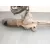 Cremallera Direccion para Kia Ceed (Cd)
