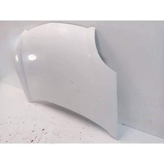 Capot para Renault Kangoo (Kc0/1_)