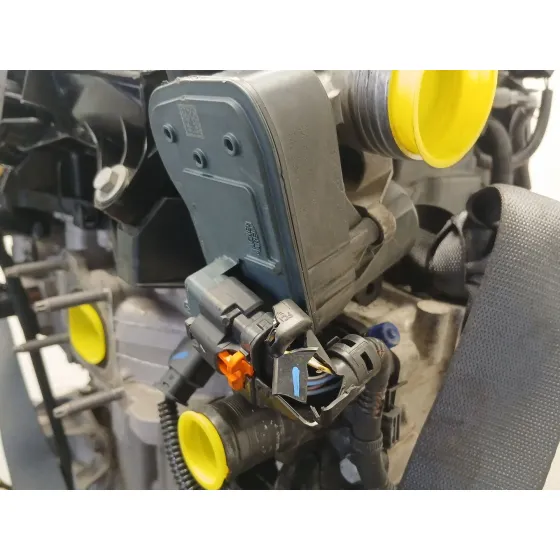 Despiece Motor para Citroën C3 Iii (Sx)