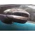 Retrovisor Izquierdo para Citroën C3 Iii (Sx)