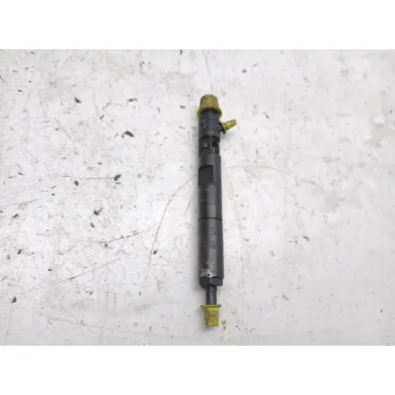 Inyector para Renault Kangoo (Kc0/1_)