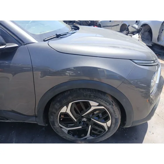 Aleta Delantera Derecha para Citroën C4 Iii (Ba_, Bb_, Bc_)