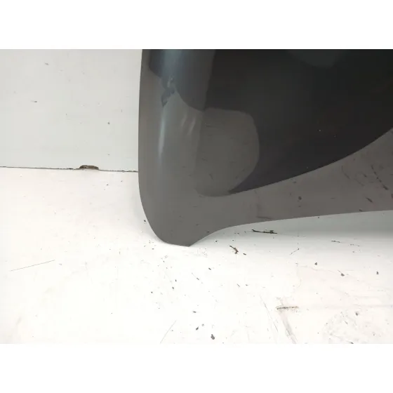 Capot para Citroën C4 Iii (Ba_, Bb_, Bc_)