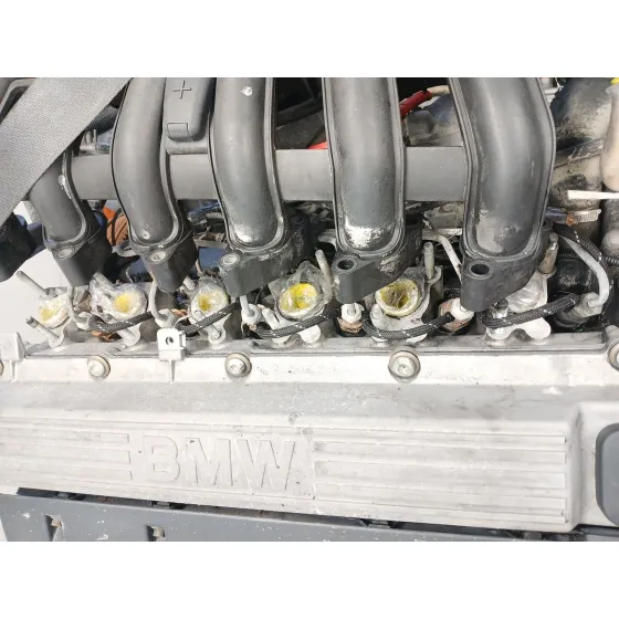 Despiece Motor para Bmw Serie 5 Berlina (E39)