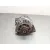 Alternador para Bmw Serie 5 Berlina (E39)