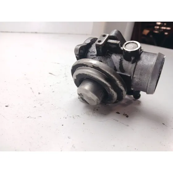 Valvula Egr para Volkswagen Polo (9N1)