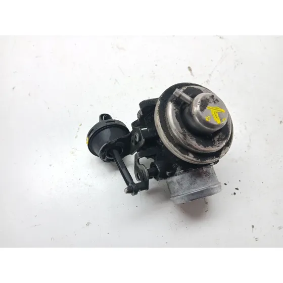 Valvula Egr para Volkswagen Polo (9N1)