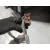 Cremallera Direccion para Peugeot 207/207+ (Wa_, Wc_)