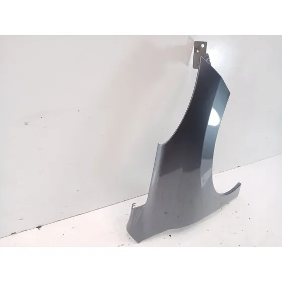 Aleta Delantera Derecha para Peugeot 207/207+ (Wa_, Wc_)
