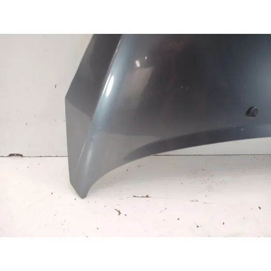 Capot para Peugeot 207/207+ (Wa_, Wc_)