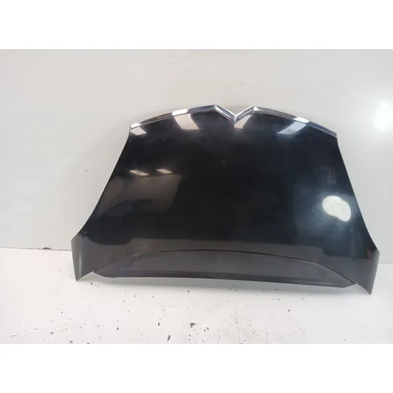 Capot para Citroën C4 Picasso I Monospace (Ud_)