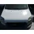 Capot para Ford Transit Connect (P65_, P70_, P80_)