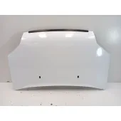 Capot para Ford Transit Connect (P65_, P70_, P80_)